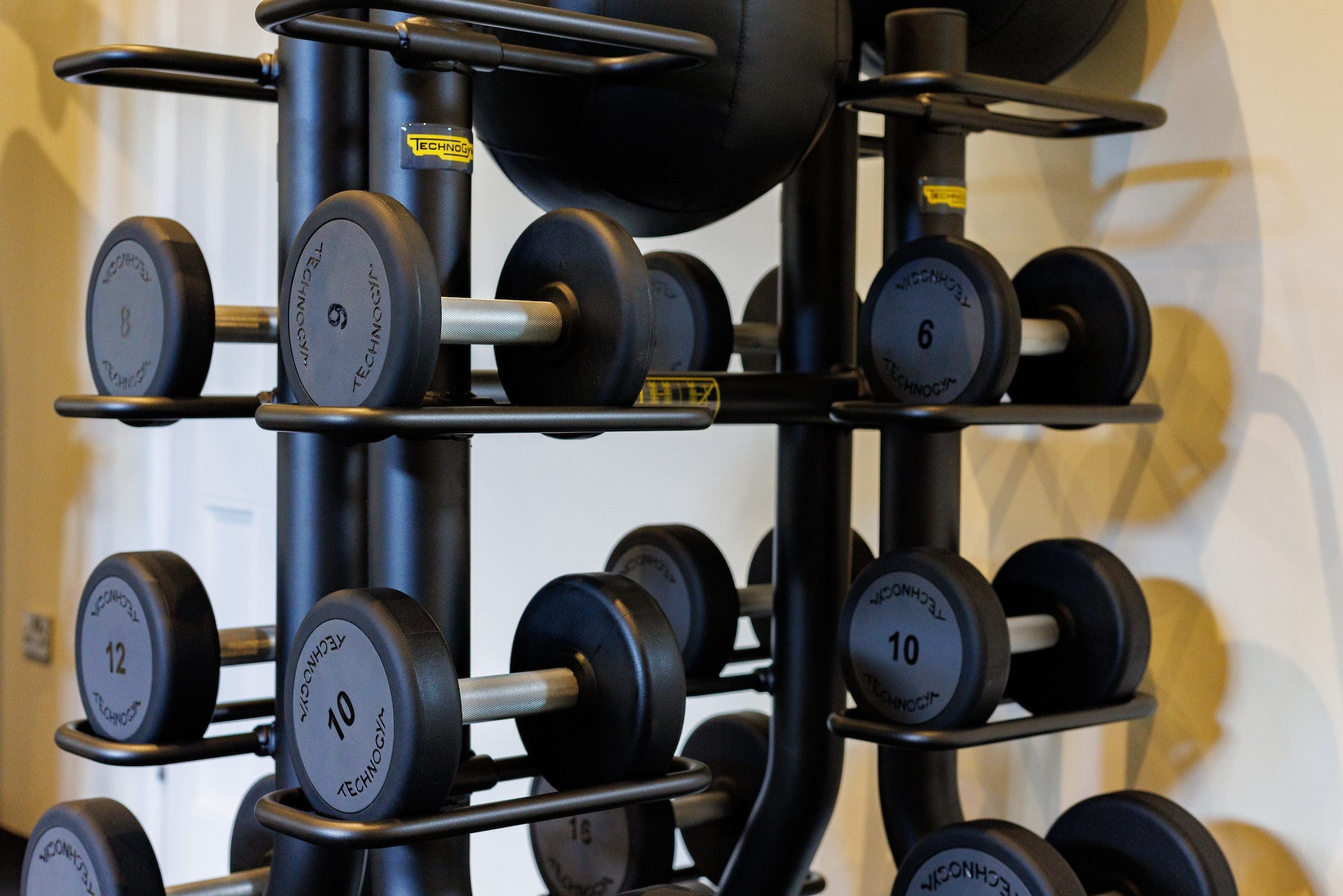 Technogym dumbbells in the private gym of Rochtaine Mansion